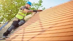 Best Roof Moss and Algae Removal  in Port Clinton, OH